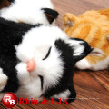 Jouet en peluche de chat jouet en peluche en peluche